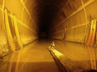 tn_fueltunnels3.jpg