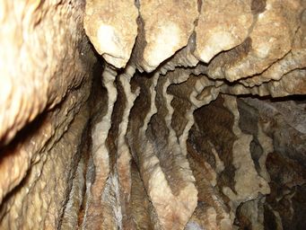 341_cathedral_cave_dsc07821.jpg