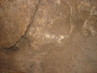 341_cathedral_fossils_dsc07812.jpg
