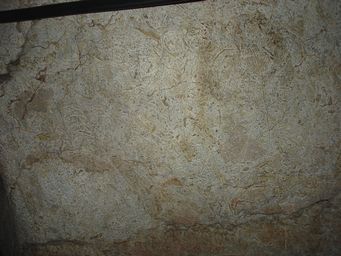 341_cathedral_fossils_dsc07824.jpg