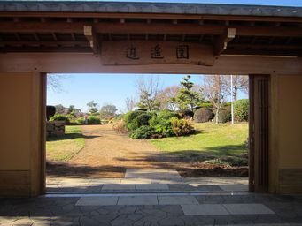 341_japanese_gardens_img_5556.jpg