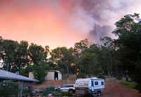 tn_bushfire2009.jpg
