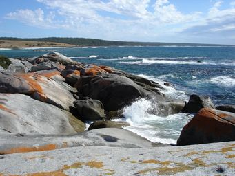tn_bay_of_firesdsc028051.jpg