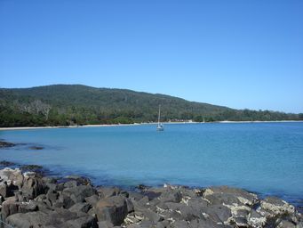 tn_cocklecreekdsc02539.jpg