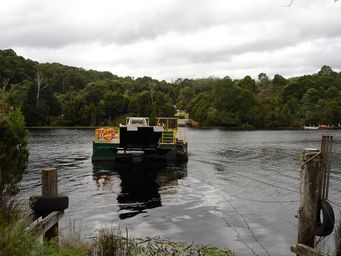 tn_corinnadsc02274.jpg