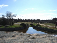 tn_holland6tank1.jpg