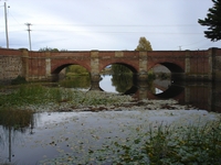 tn_redbridge1.jpg