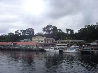 tn_stahandsc02296.jpg