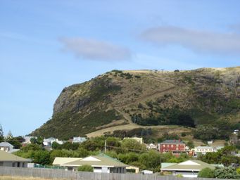 tn_stanleynutdsc02188.jpg
