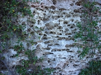 tn_tantanoolacliff.jpg