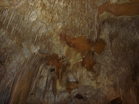 tn_tantanoolastraws.jpg