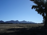 tn_wilpenafromcazneaux.jpg
