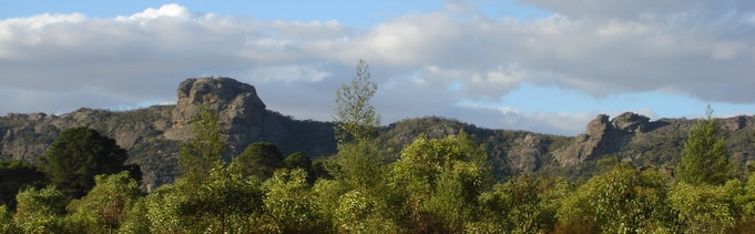 travasmtc2005012002.jpg