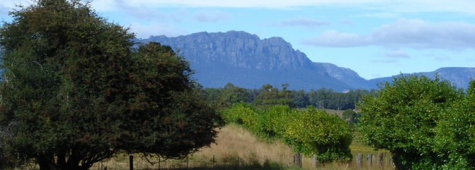 travasmtc2005016001.jpg