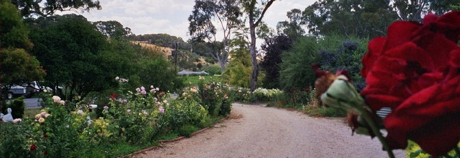 travasmtc2005033002.jpg