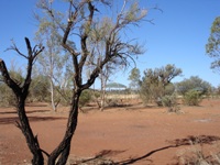 200_warakurrna_campground_dsc01680s.jpg