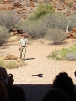 tn_aliceprey2.jpg