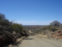 tn_arltungawhitera1.jpg