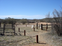 tn_arltungawhitera2.jpg