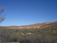 tn_arltungawhitera4.jpg