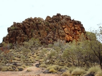 tn_corroboree1.jpg