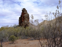 tn_corroboree3.jpg