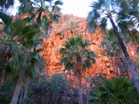 tn_elqgorge2.jpg