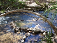 tn_elqriverbath.jpg