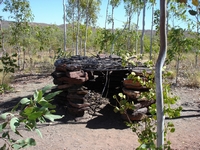 tn_keepriverbirdtrap.jpg