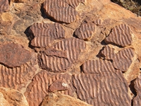 tn_kingsripplerock.jpg