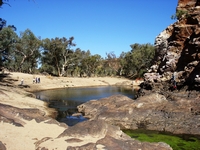 tn_ormiston1.jpg