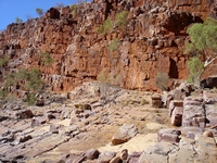tn_ormiston11.jpg