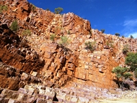 tn_ormiston12.jpg