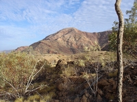 tn_ormiston5.jpg
