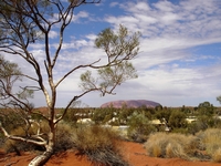 tn_uluru1.jpg
