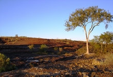 travasmtc2008017012.jpg