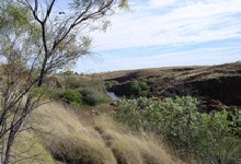 travasmtc2008017013.jpg