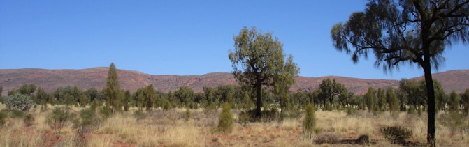 travasmtc2008036001.jpg