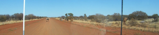 travasmtc2008037001.jpg