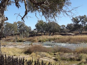 341_brewarrina_fish_traps_dscf6373c.jpg