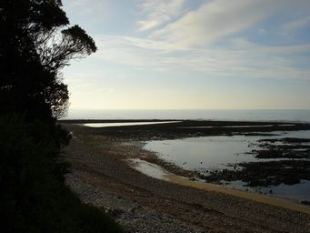 341_fish_traps_lillico_beach_dsc019921.jpg