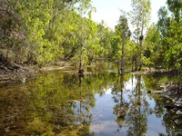 tn_12edithcreek.jpg