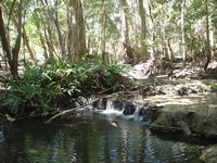 tn_botanicwaterfall.jpg