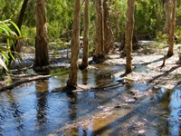 tn_botanicwetlands3.jpg