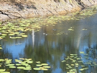 tn_caranbiriniwaterhole1.jpg