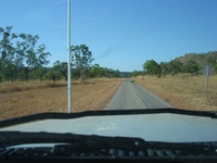 tn_tablelandspig.jpg