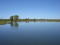 tn_yellowwaters13.jpg