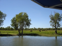 tn_yellowwaters2.jpg