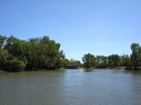tn_yellowwaters3.jpg
