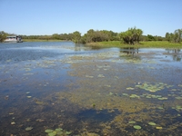 tn_yellowwaters5.jpg